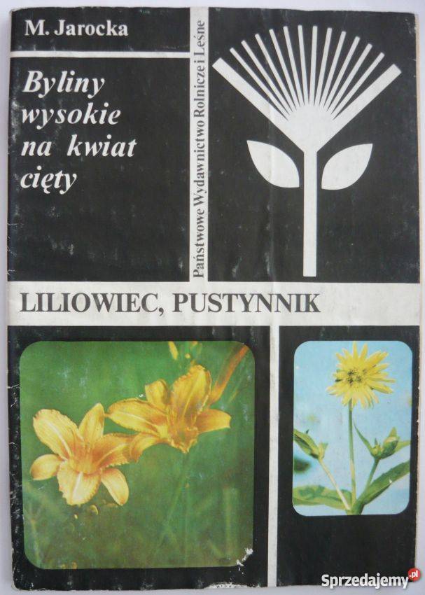 BYLINY WYSOKIE NA KWIAT CIĘTY LILIOWIEC