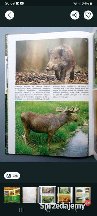 Album Parki narodowe i krajobrazowe w Polsce Siemianowice Śląskie sprzedam