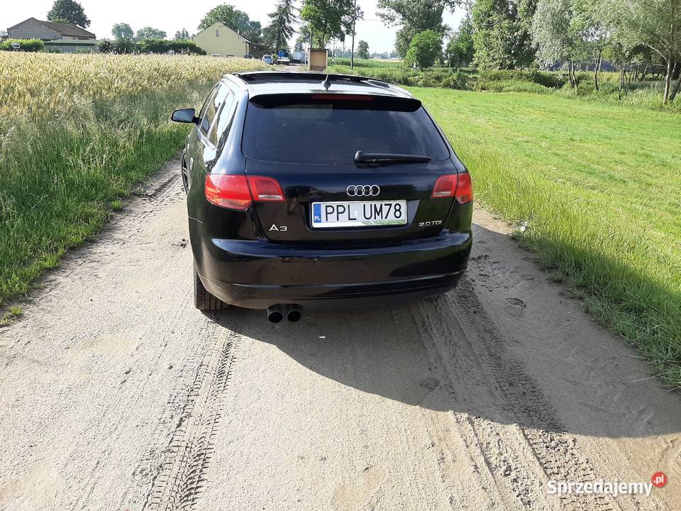Audi A3 8P Sportback 2007 Silnik 20 TDI wersja Pleszew