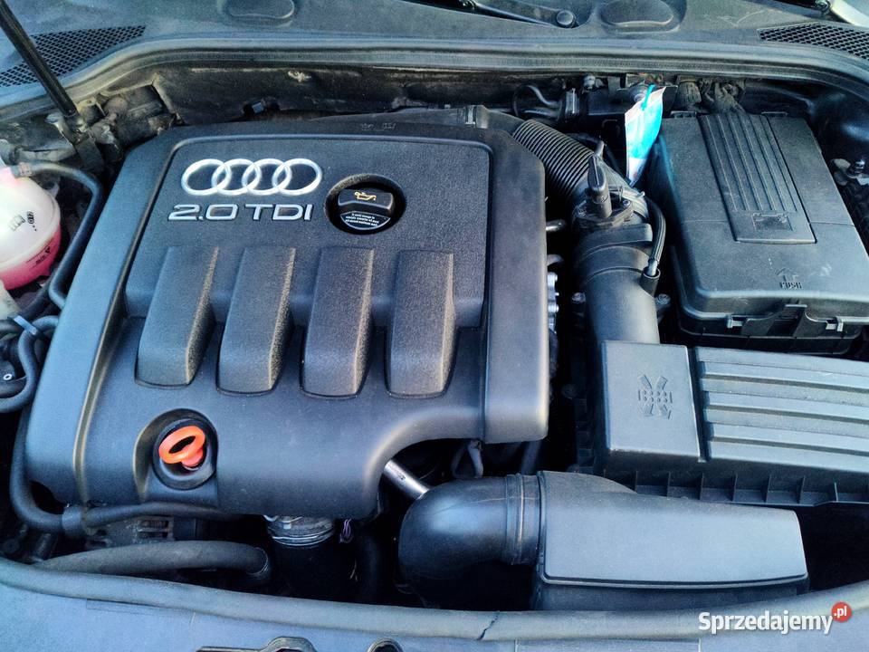 Audi A3 8P Sportback 20TDI 16V 140 manual