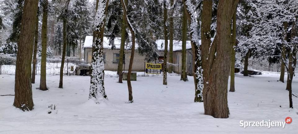 Żółwin działka budowlana 2500m2 z domem w gruntu