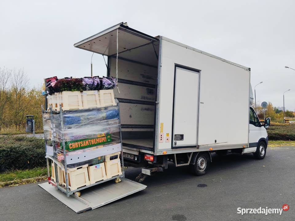 Usługi transportowe Poznań Auto z windą Paleciak Transport towarów