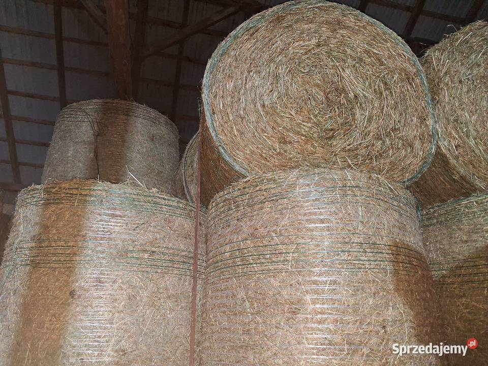 Siano śląskie Staropole