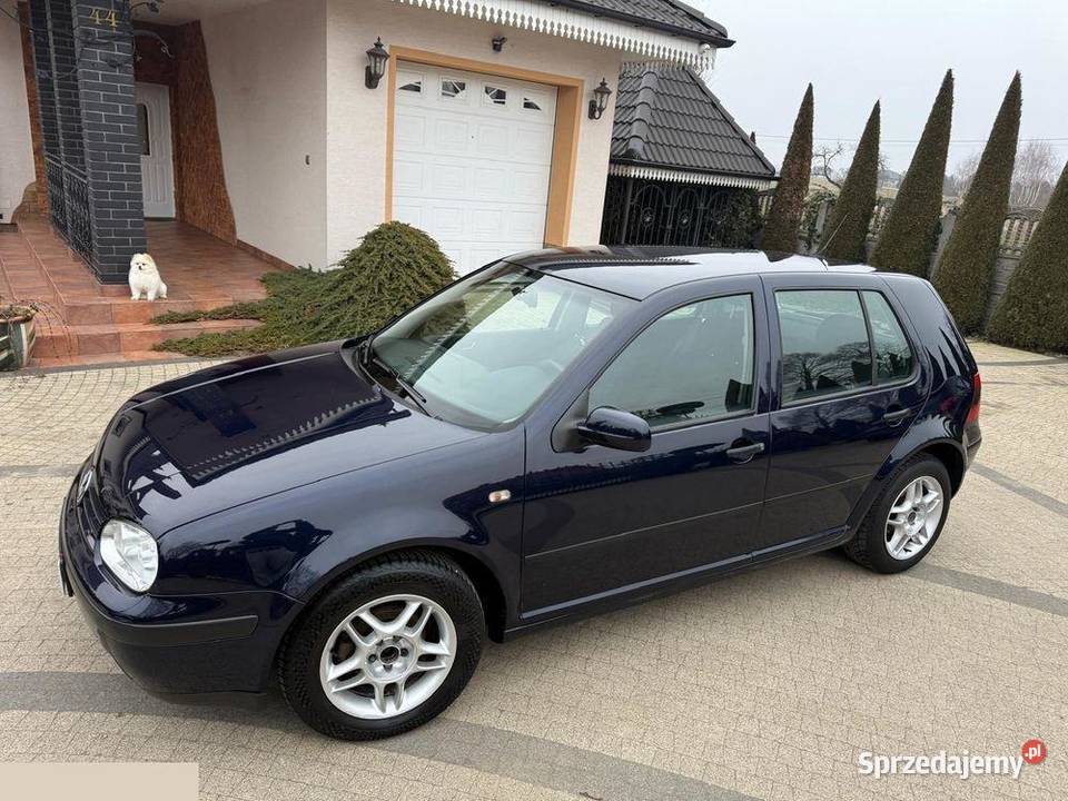 Volkswagen Golf 16 Basis 100 1999r manualna Krotoszyn