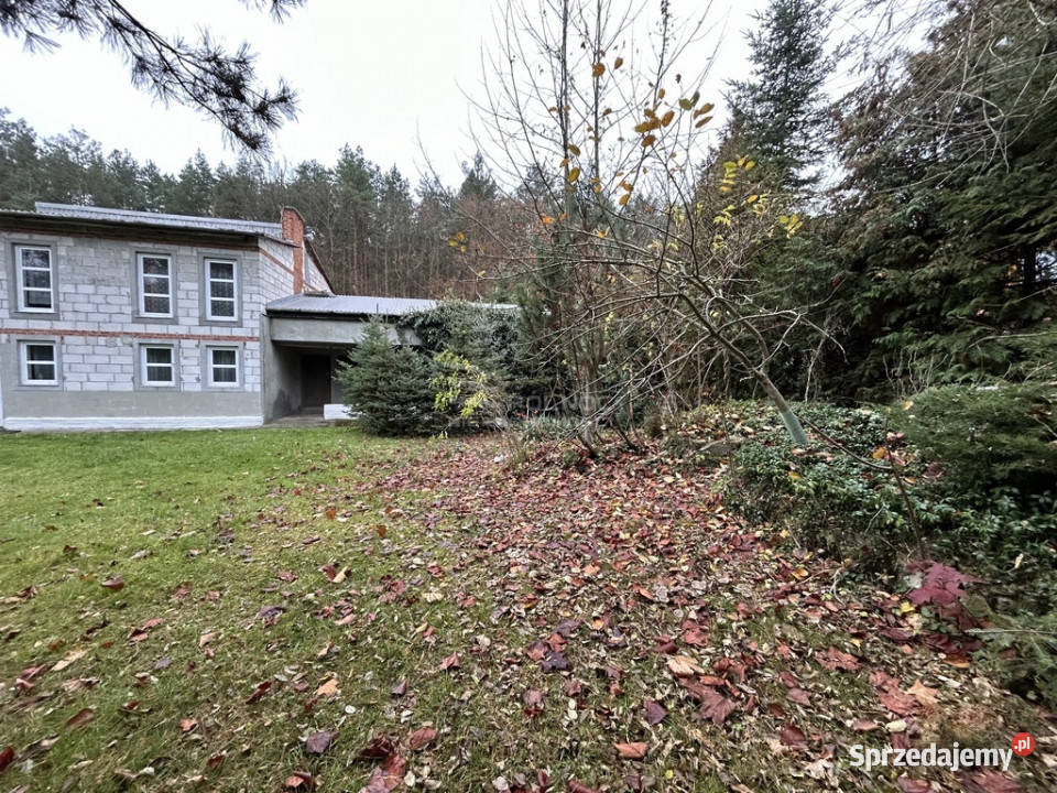 Twój Azyl Dom z ogrodem i warsztatem lesie Liczba pokoi 4 Sprzedaż Tomaszów Lubelski