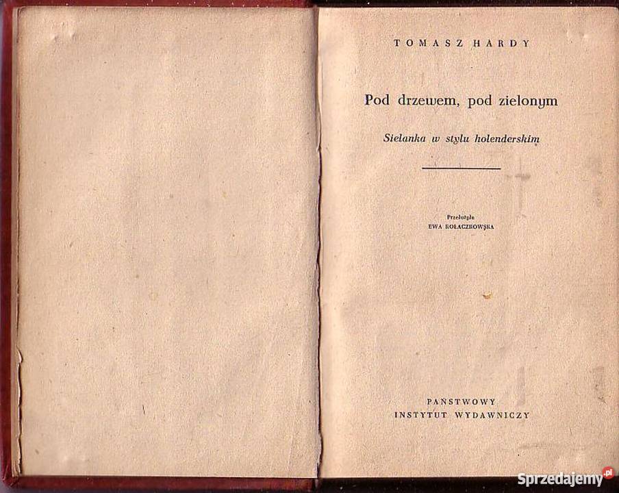 0614 POD DRZEWEM POD ZIELONYM SIELANKA W STYLU Czyrna sprzedam