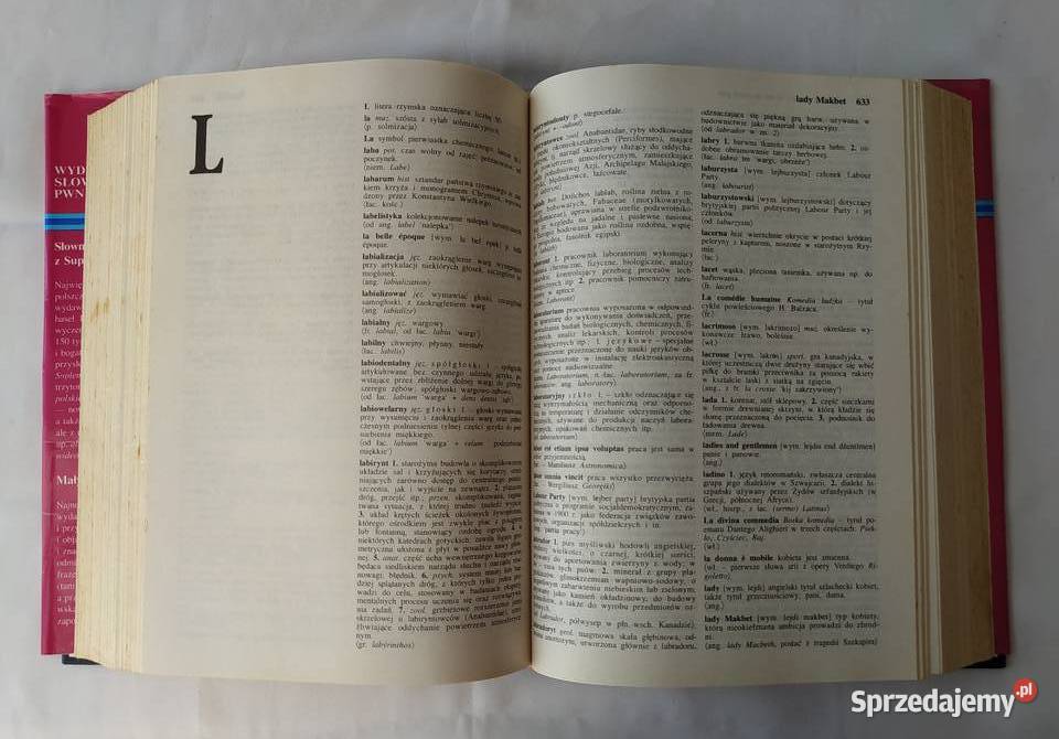 Słownik wyrazów obcych PWN wydanie nowe Hajnówka