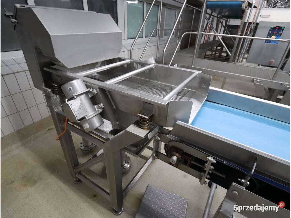 Odenberg Tomra Linia sortowania ziemniaków wielkopolskie Krotoszyn sprzedam