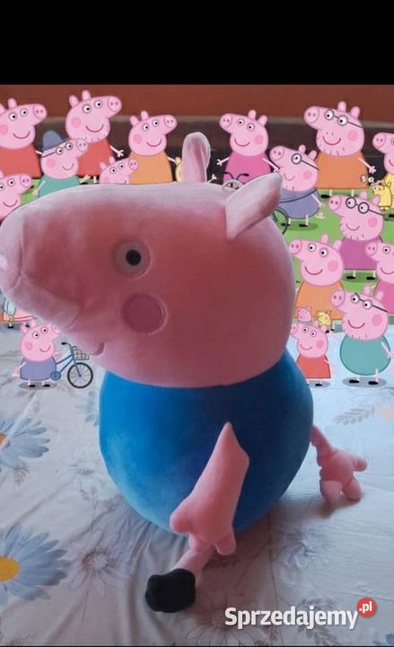 Świnka Peppa smok wawelski świętokrzyskie Czarnocin