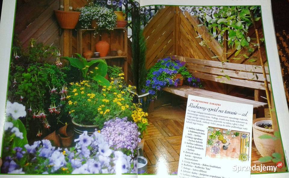 Działkowiec specjalny 12342004 Chełm