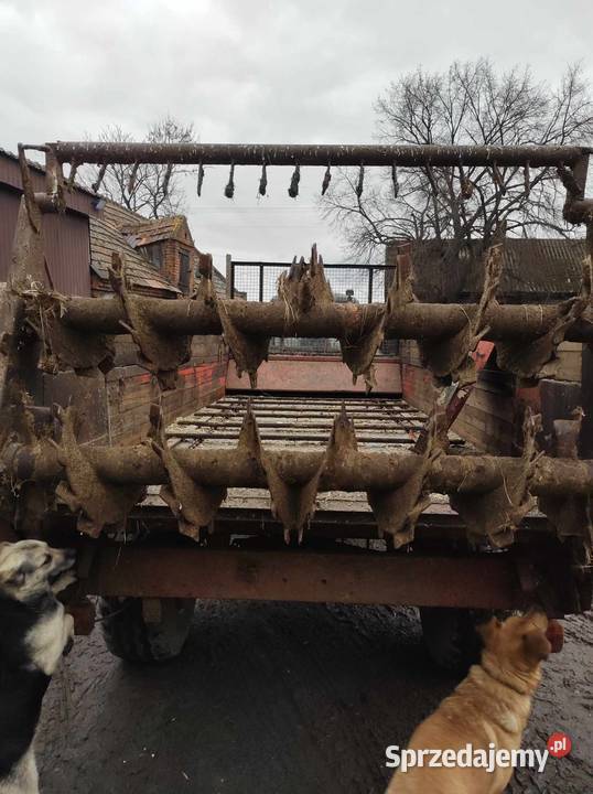 Rozrzutnik 6 t Welger Rozrzutniki obornika Gostynin