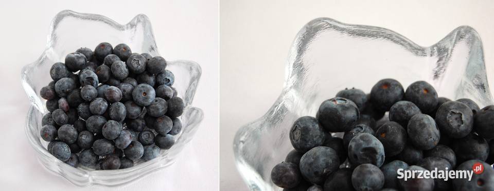 Kryształowa miska pień drzewa vintage design Lublin