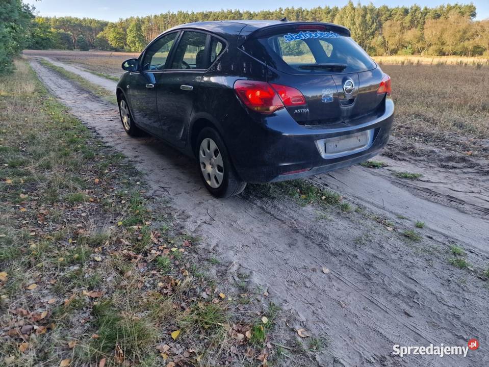 Astra j Astra wielkopolskie Ostrów Wielkopolski sprzedam