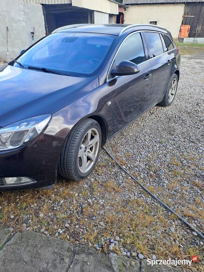 Opel Insignia Gniezno