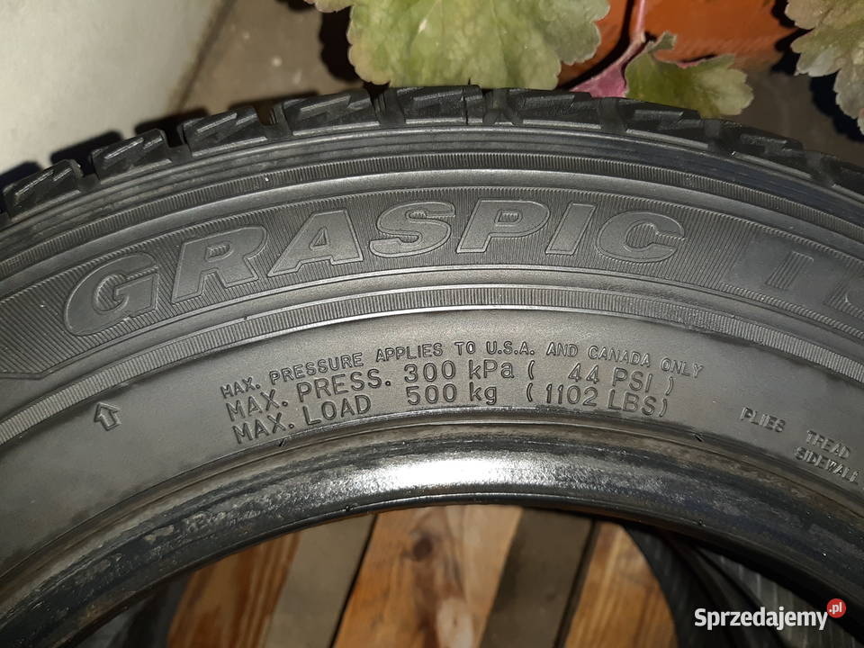 Opony zimowe 17570R14 84Q Dunlop Graspic DS2 Głuchołazy