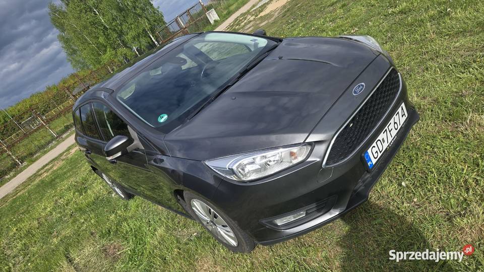 Ford Focus 15 TDCi 2015 Focus Trąbki Wielkie
