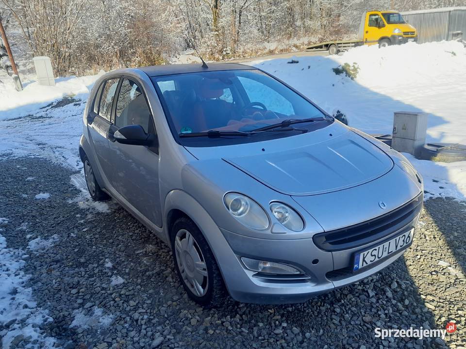 Smart forfour 11 Żarnówka