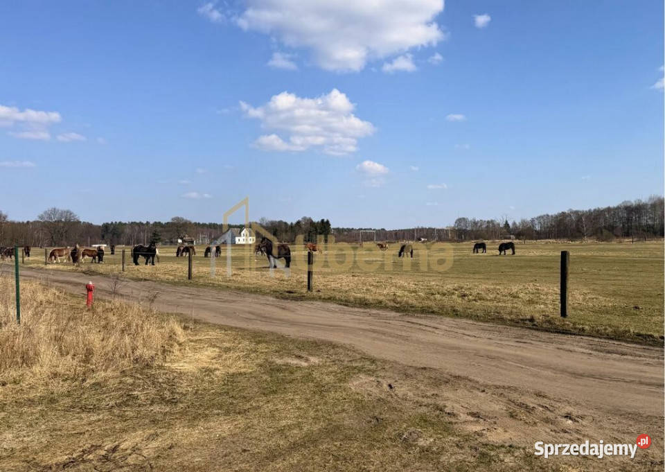 Działka 1506 m2 Białuń Jarzębinowa MPZP Sprzedaż zachodniopomorskie