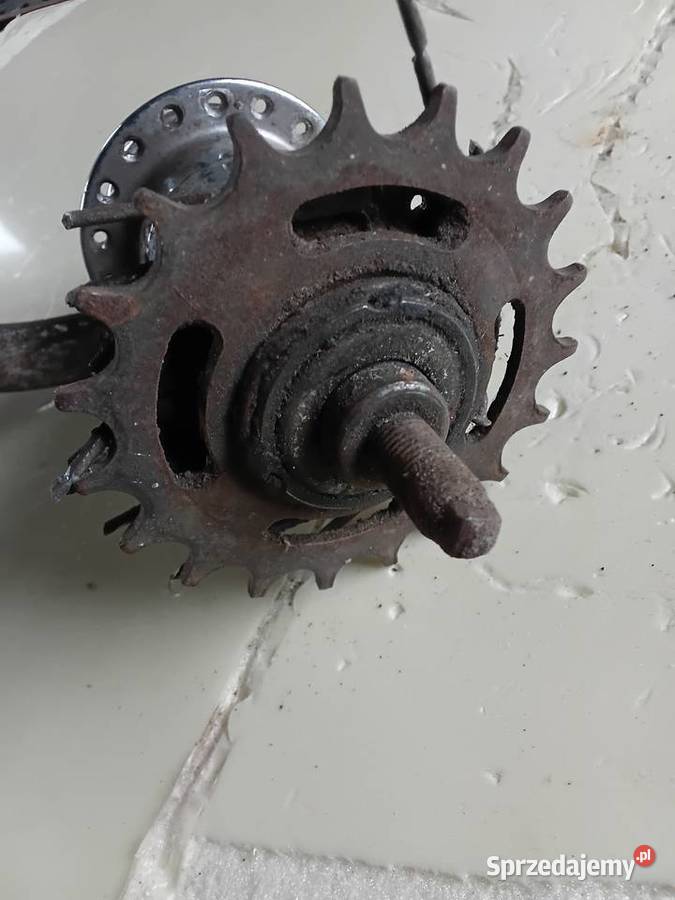 Piasta Łucznik Milejewo