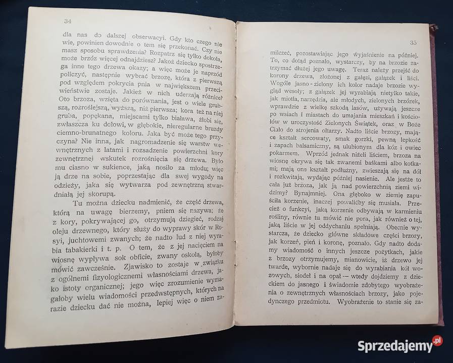 Roman Plenkiewicz Kształcenie młodzieży 1898 r Koźminek