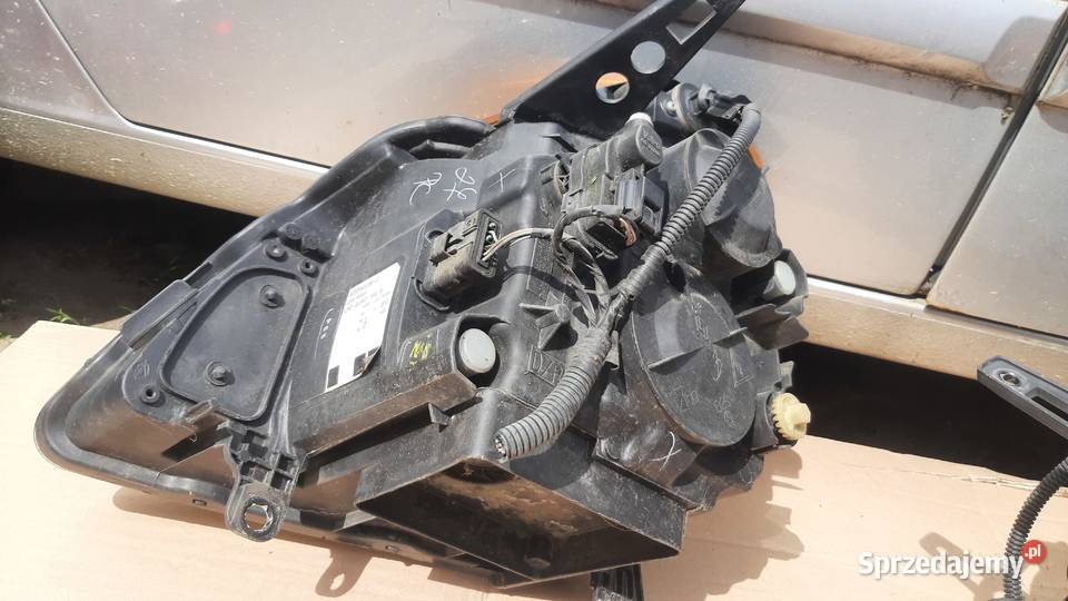 lampa prawa przednia Renault Modus 8200540239 dolnośląskie Dębno