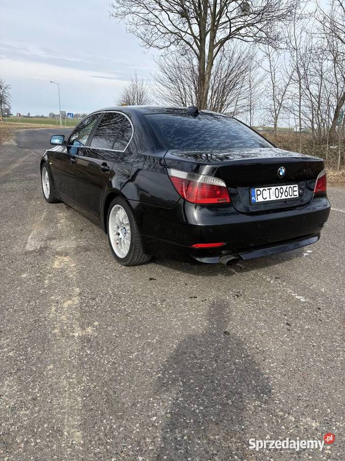 BMW E60 20D 163 Czarnków