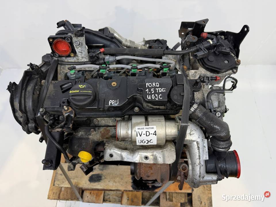 SILNIK UGJC Ford Fiesta VII MK7 B B 15 TDCI 75 sprzedam