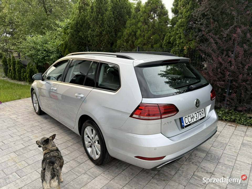 Volkswagen Golf zadbana oryginalny przebieg VII Rok produkcji 2019 Poznań