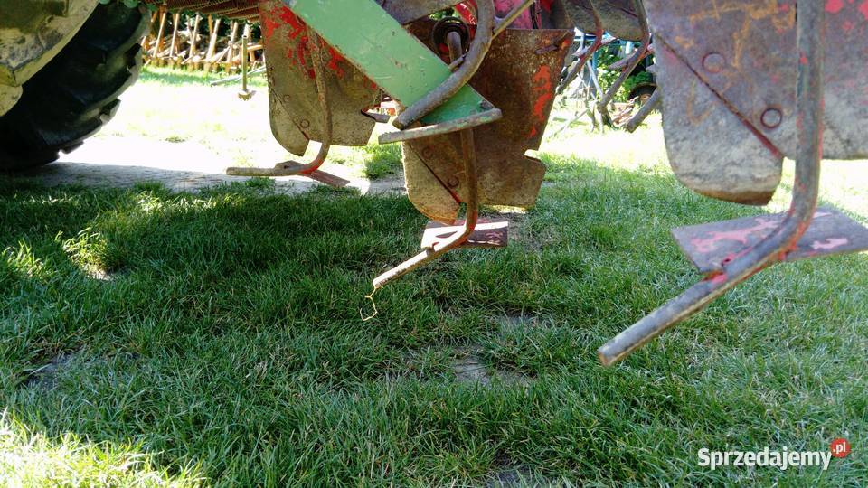 siewnik hassia dl 300 3m lubelskie Białopole