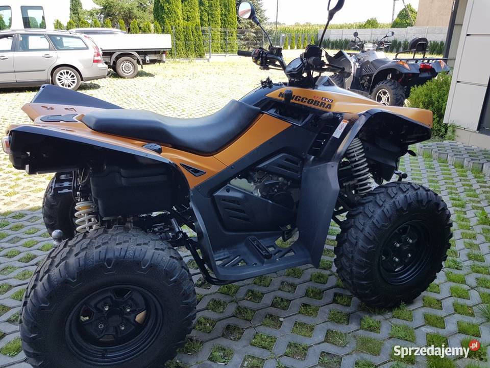 CECTEK KINGCOBRA EFI 500 Homologacja DOSTAWA łódzkie Wały A sprzedam