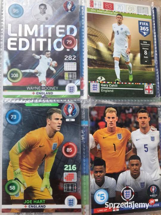 karty sportowe panini Łódź