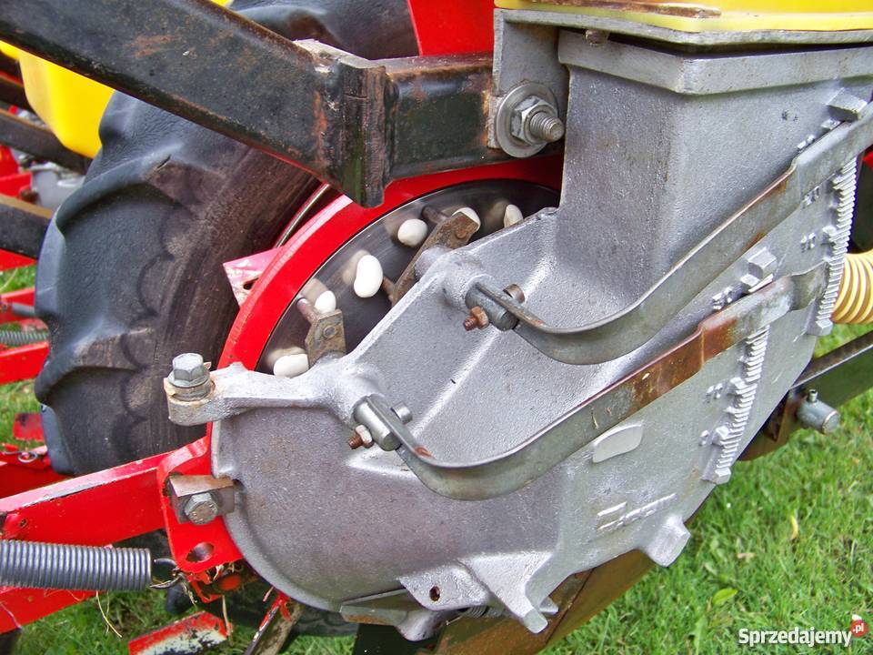 Siewnik do Fasoli Kukurydza Burak Dębina