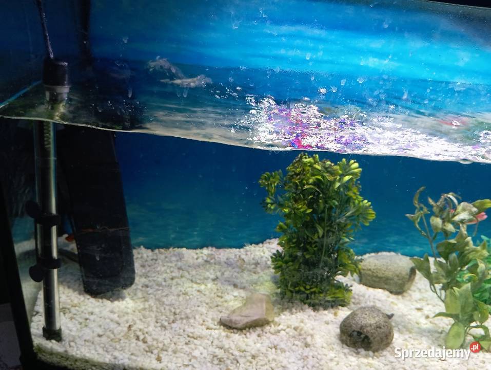 Akwarium 300l panoramiczne full zestaw Gatne Drugie
