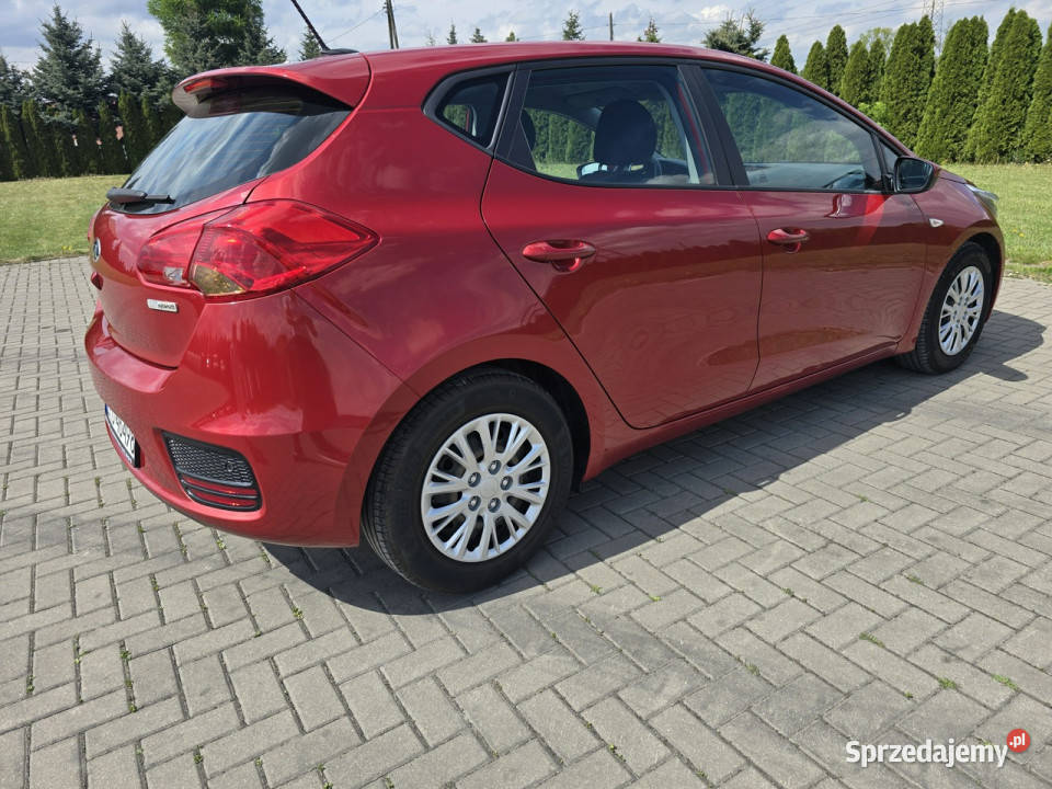 Kia Ceed 16crdi diesel Kia Kutno