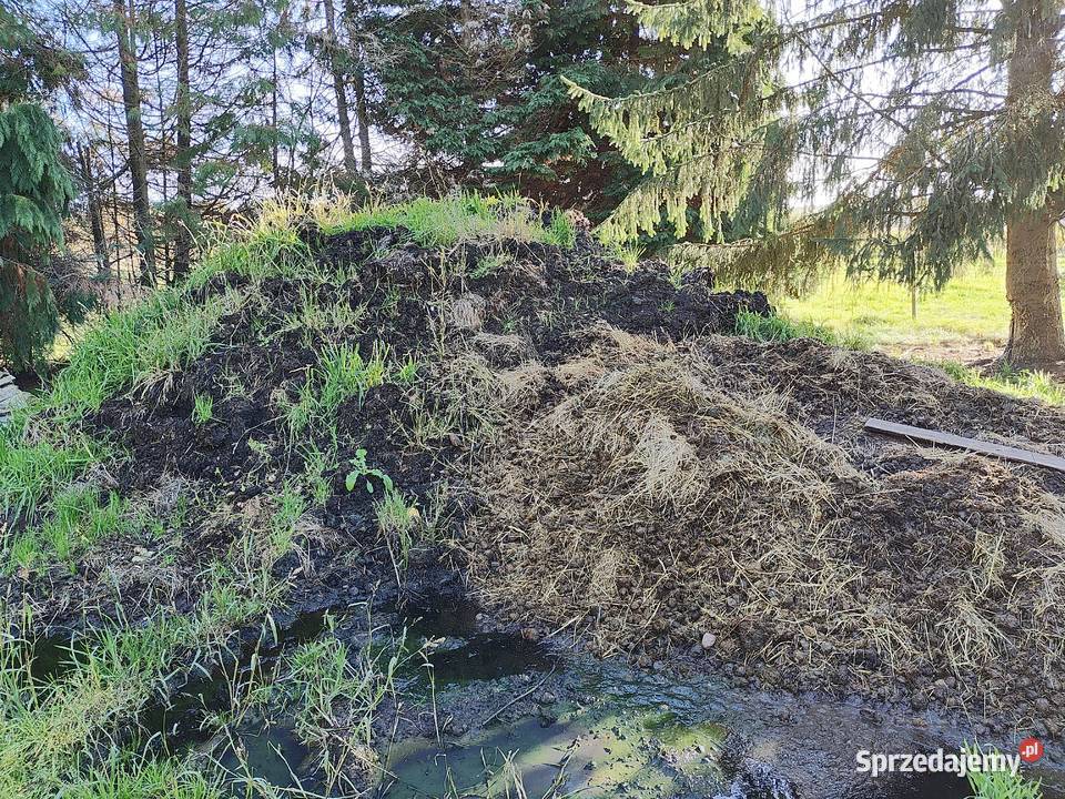 Obornik koński ok 100 ton Kamień Pomorski