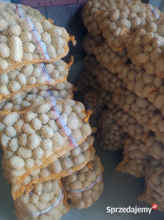 Sprzedam ziemniaki odmiany soraja