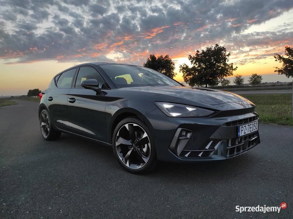 Cupra Leon 2025 5 600 15 TSI 150 Pakiet Edge i Poznań
