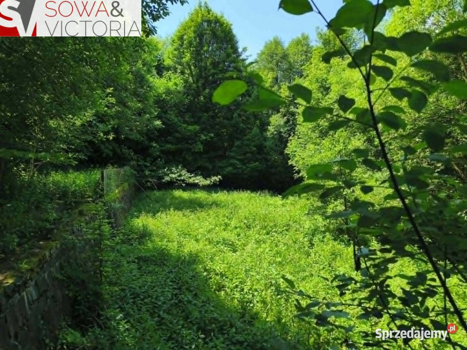 Dom bez sąsiedztwa działka 9300 m 2 cegła dolnośląskie Walim