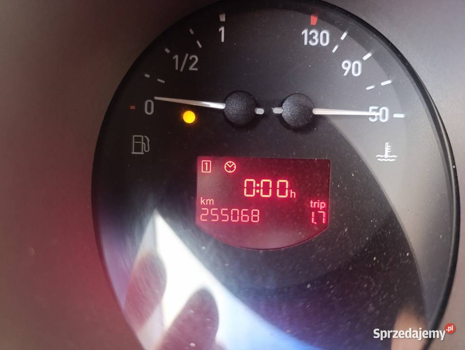 SEAT ALTEA wielkopolskie Strzałkowo