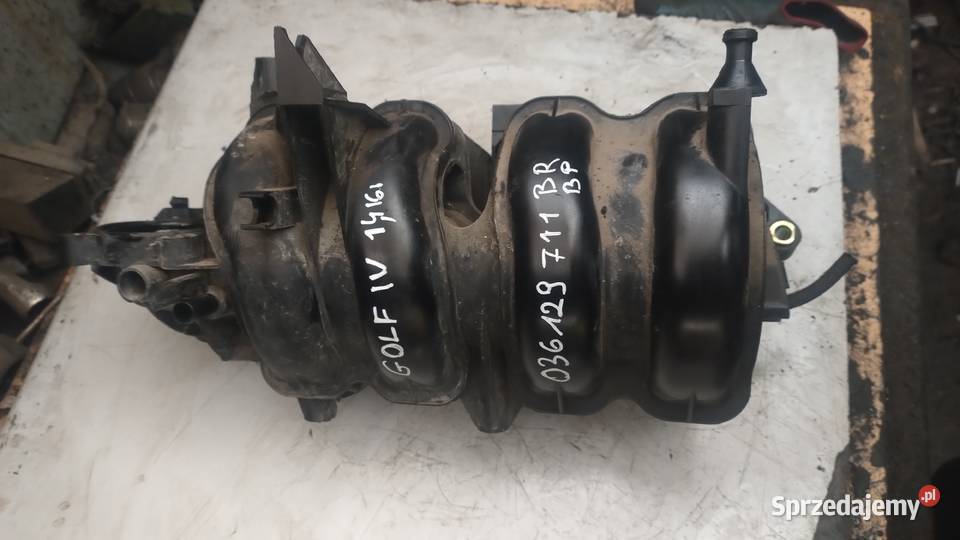 VW GOLF IV 14 16V kolektor ssący 036129711BR Kielce sprzedam