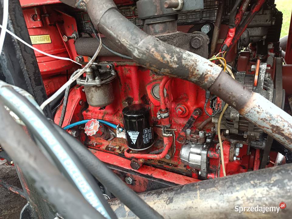 MTZ Belarus 82 Skrzynia biegów Manualna mazowieckie Borówek