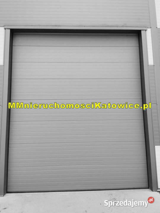 wynajmu lokalu 743m2 Katowice