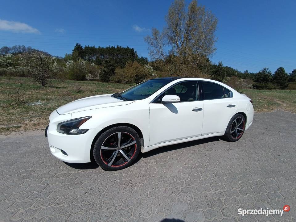 Nissan Maxima A35 wygodna limuzyna biała benzyna+LPG Bydgoszcz