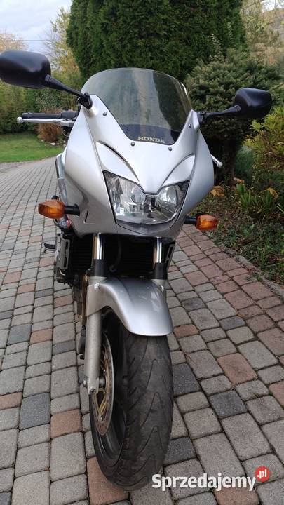 Honda Hornet S cb600 katA2 Blizne