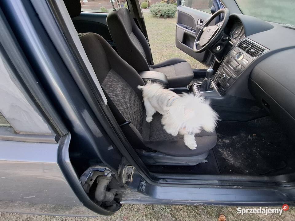 Ford mondeo mk3 zachodniopomorskie Gryfice