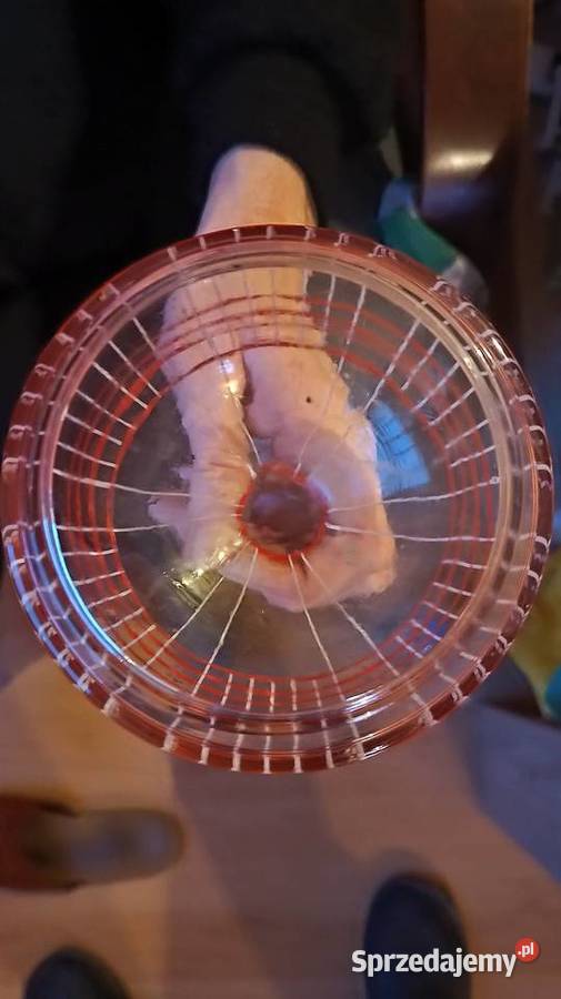 Karafka prl świętokrzyskie Jędrzejów