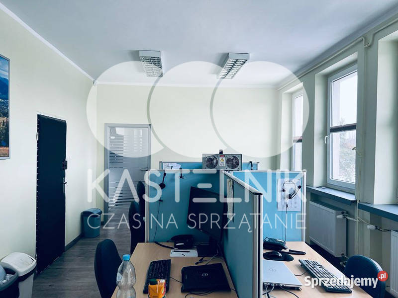 Odgrzybianie ścian Giżycko Kastelnik Usuwanie