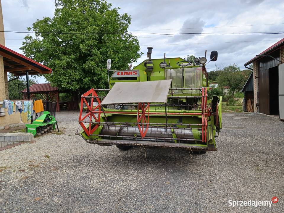 CLAS CONSUL Średnia Wieś