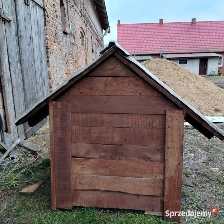 Buda psa wielkopolskie Jastrowie