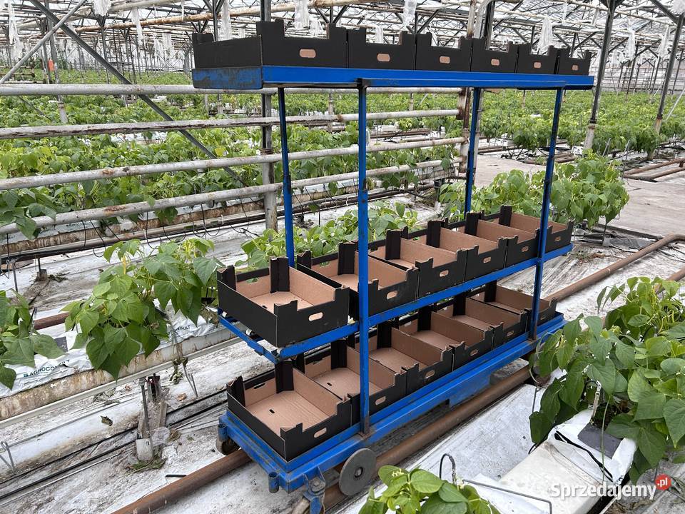 Wózek rolkowy szklarniowy do zbioru warzyw Śmigiel sprzedam